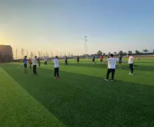 足球国际比赛日